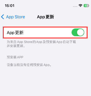 新蔡苹果15维修中心如何让iPhone15APP自动更新